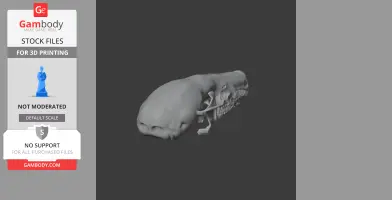 Common Mole Skull - Skull Replica STL