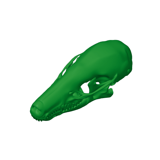 Common Mole Skull.3mf
