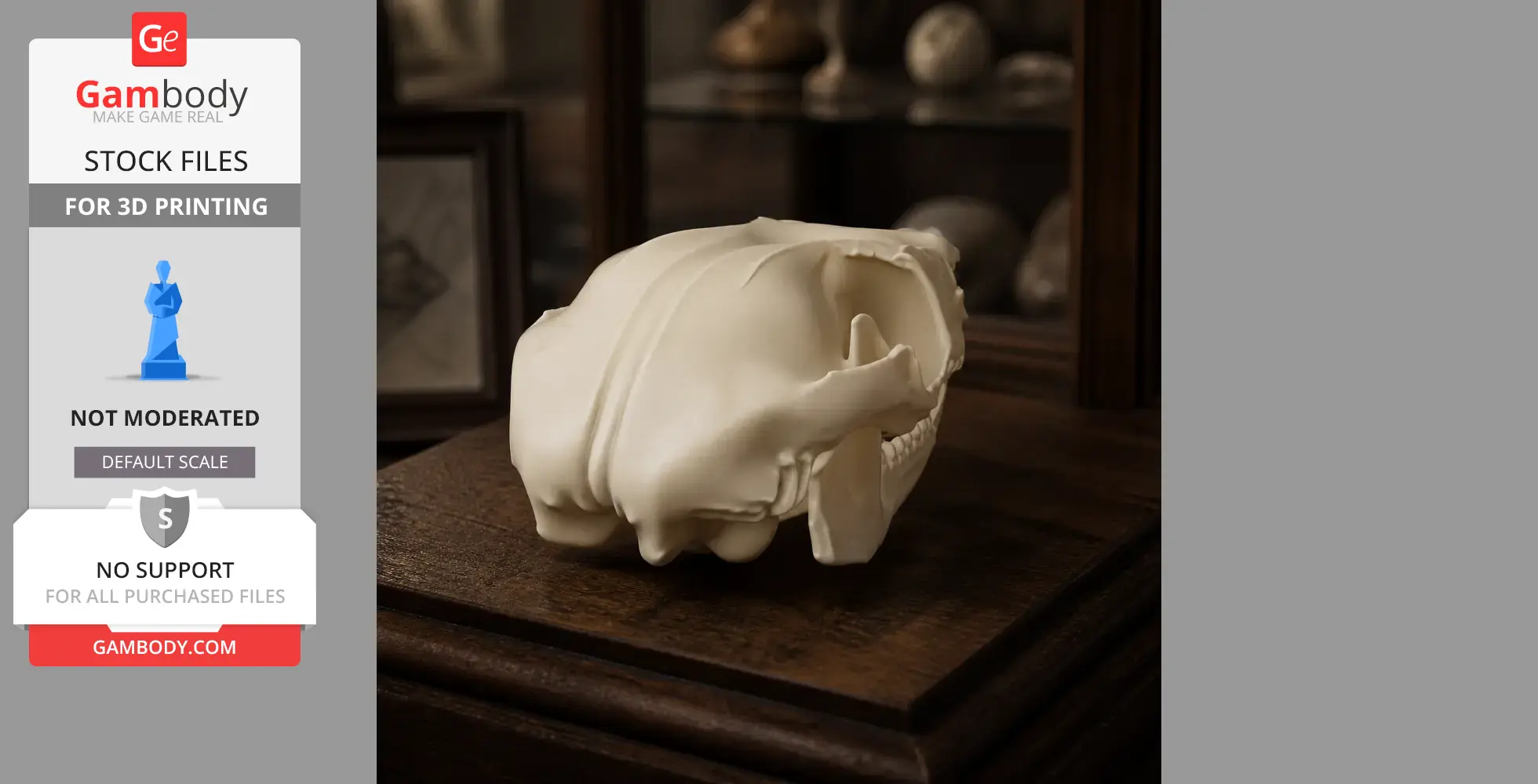 Common Ringtail Possum Skull - Skull Replica STL