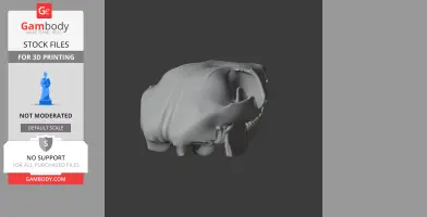 Common Ringtail Possum Skull - Skull Replica STL