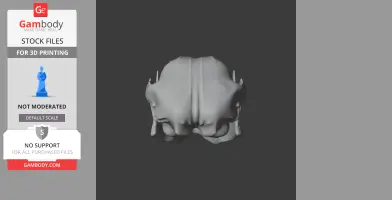 Common Ringtail Possum Skull - Skull Replica STL