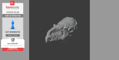 3D model of a common shrew skull, detailed and suitable for 3D printing.