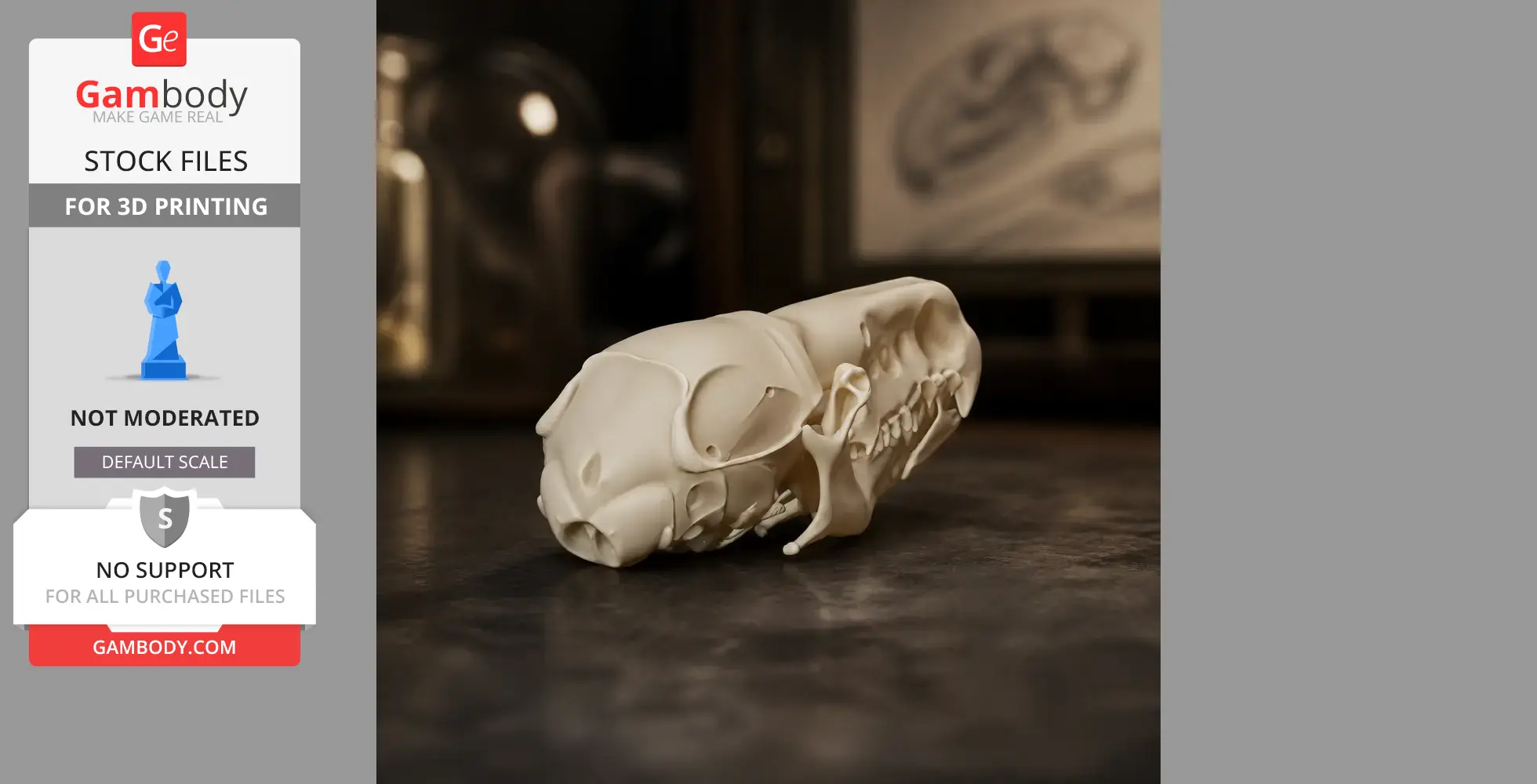 A detailed 3D printed replica of a common shrew skull on a dark surface.
