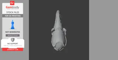 Top view of a 3D-printed common shrew skull model on a gray background.