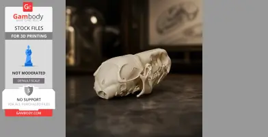 A detailed 3D printed replica of a common shrew skull on a dark surface.