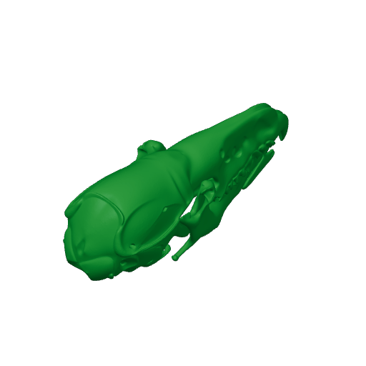 Common Shrew Skull.3mf