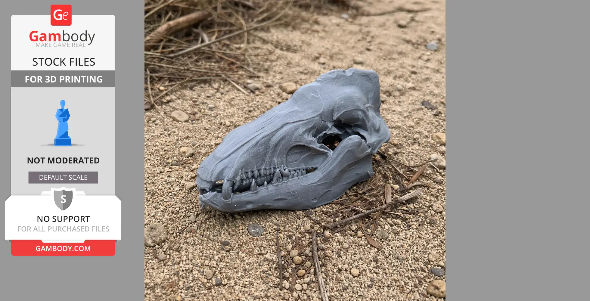 Common Tenrec Skull - Skull Replica STL