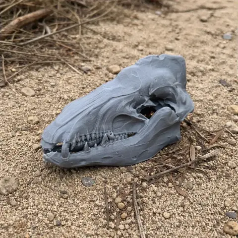Common Tenrec Skull - Skull Replica STL