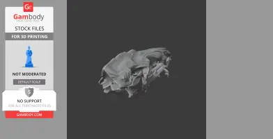 Common Tenrec Skull - Skull Replica STL