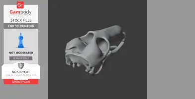 Common Wallaroo Skull - Skull Replica STL