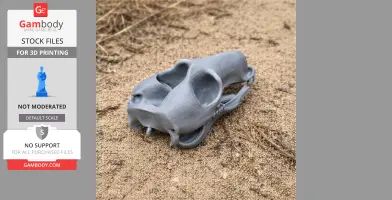 Common Wallaroo Skull - Skull Replica STL