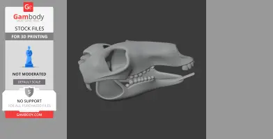 Common Wallaroo Skull - Skull Replica STL