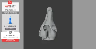 Common Wallaroo Skull - Skull Replica STL