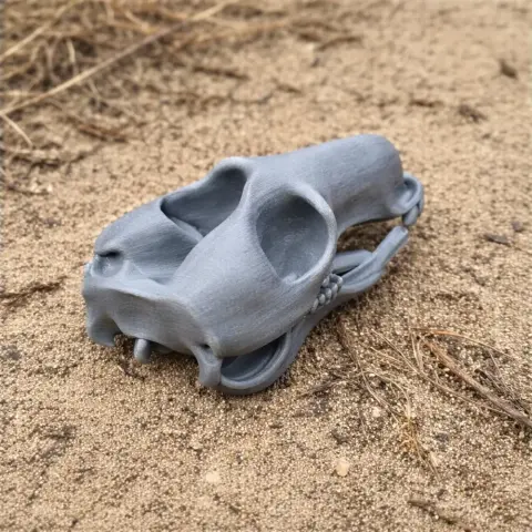 Common Wallaroo Skull - Skull Replica STL