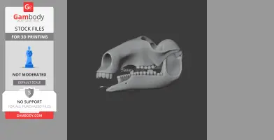 Common Wallaroo Skull - Skull Replica STL