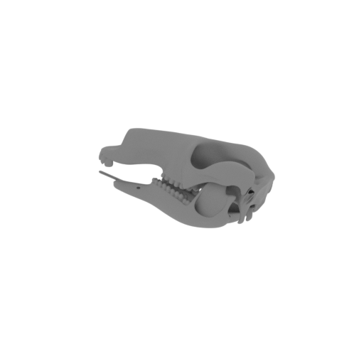 Common Wallaroo Skull.stl