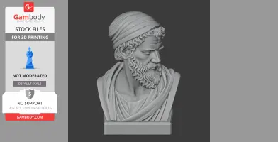 Heraclitus Bust - Historical Warrior STL