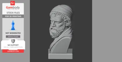 Heraclitus Bust - Historical Warrior STL