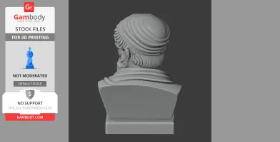 Heraclitus Bust - Historical Warrior STL