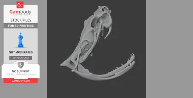 Copperhead Skull - Skull Replica STL