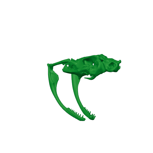 Copperhead Skull.3mf
