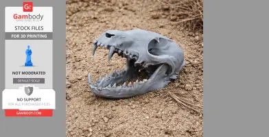 3D-printed Corsac fox skull replica on sandy ground.