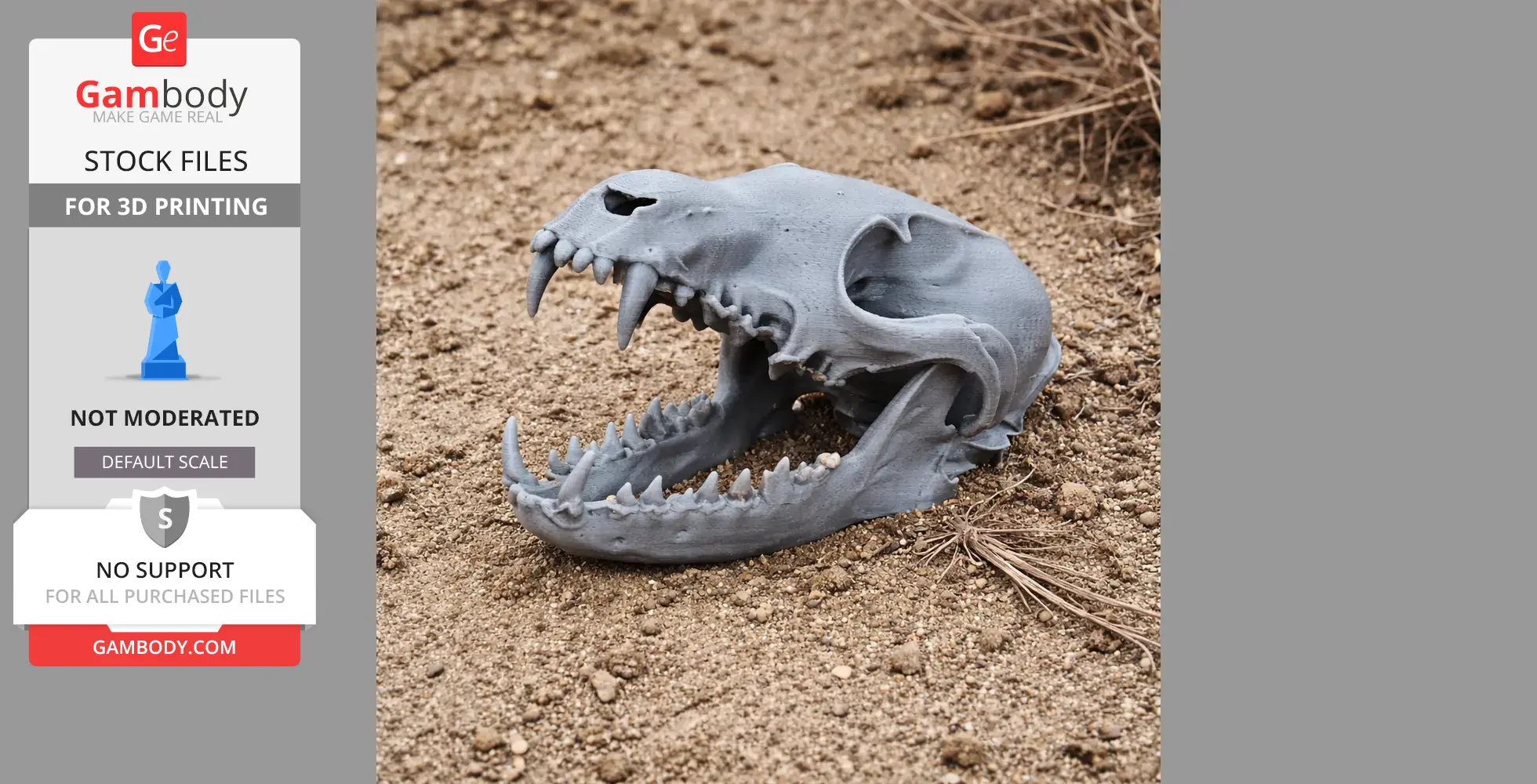 3D-printed Corsac fox skull replica on sandy ground.
