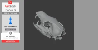 3D model of a Corsac fox skull, detailed and ready for 3D printing, shown on a dark gray background.