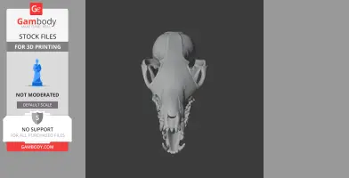3D model of a Corsac fox skull viewed from above, detail visible for 3D printing.
