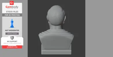 The back view of a sculpted bust depicting a historical figure wearing a draped garment.