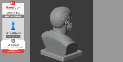 3D model of a bust depicting an ancient figure with a beard and draped clothing, viewed from the back.