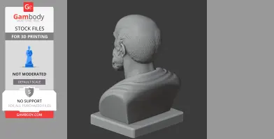 Bust of a historical figure with detailed hair and beard, on a pedestal, viewed from behind.