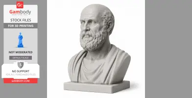 A detailed bust of an ancient warrior with a beard and draped clothing, designed for 3D printing.