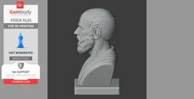 Side view of a 3D printed bust of an ancient bearded man with detailed hair and draped clothing.