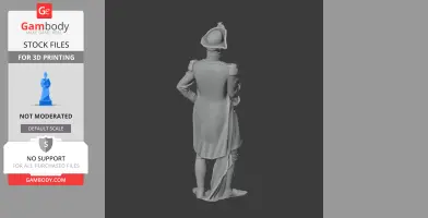 3D model of a Napoleonic soldier with a long coat and hat, viewed from the back.