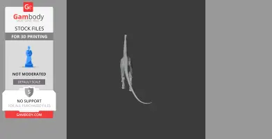 Gray 3D model of a Pakisaurus dinosaur viewed from the front against a dark background.