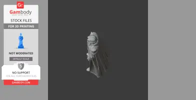 Avatar Infernas - Vampire Survivors - Character Figure STL