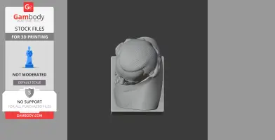 Top view of a 3D printed bust with detailed hair texture, on a rectangular base.