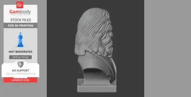 A detailed side view of a historical bust with long, wavy hair on a pedestal, for 3D printing.