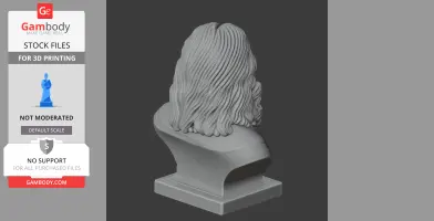 Bust of a historical figure with long wavy hair, viewed from the back.