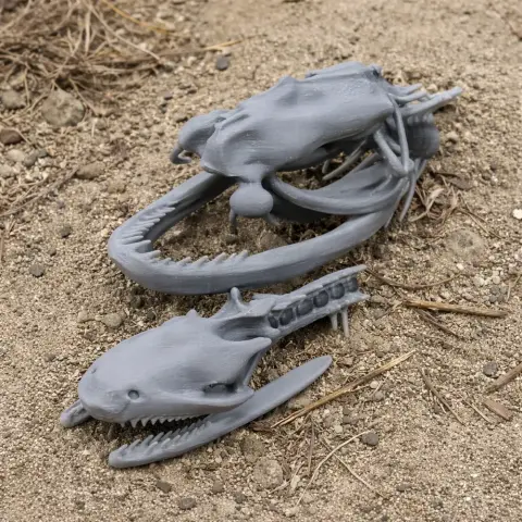 3D printed cottonmouth snake skull replicas on rough ground.