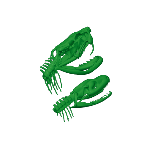 Cottonmouth Skull.3mf