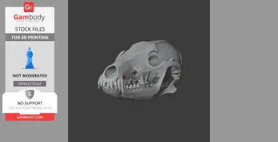 3D model of a coyote skull, showcasing detailed teeth and bone structure on a dark background.