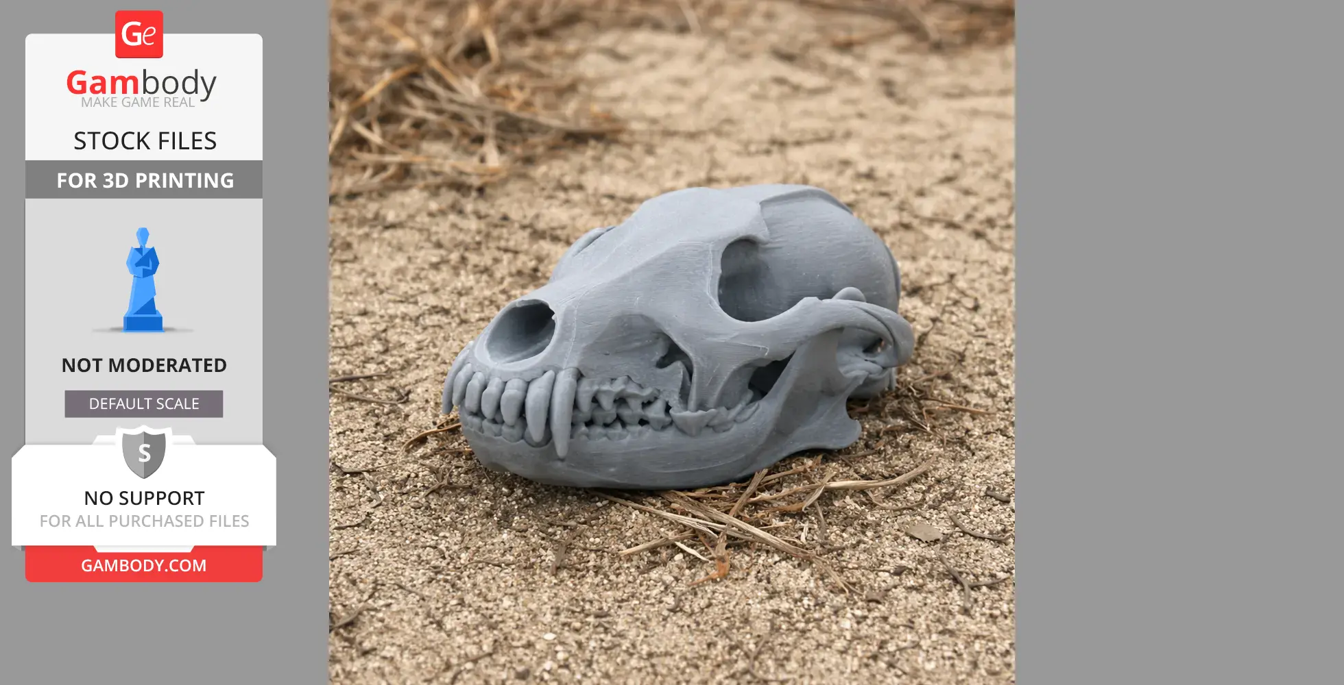 3D-printed gray coyote skull replica lying on sandy ground with dry grass.