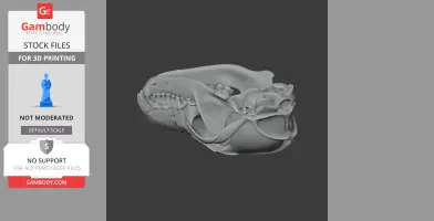 3D model of a detailed coyote skull, designed for 3D printing.