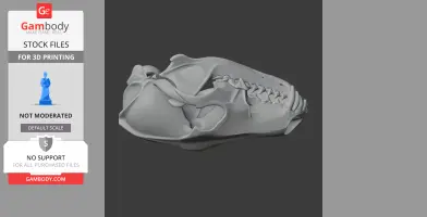 A detailed 3D model of a coyote skull, suitable for 3D printing, shown in a side view.