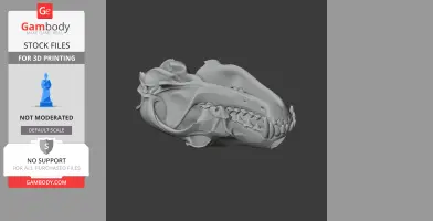 A detailed 3D model of a coyote skull, side view, suitable for 3D printing.