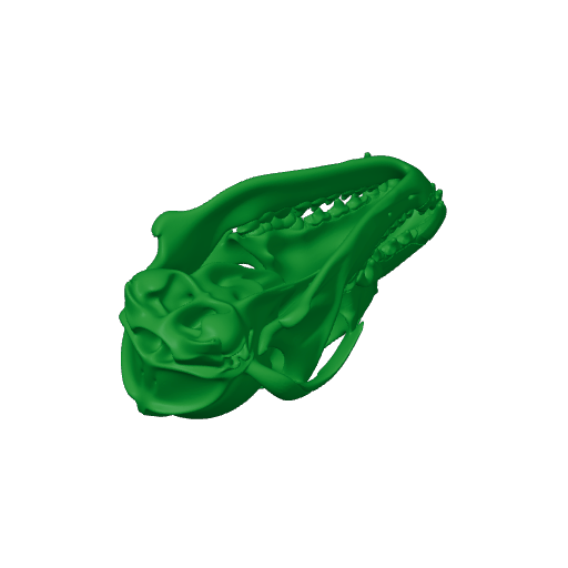 Coyote Skull.3mf
