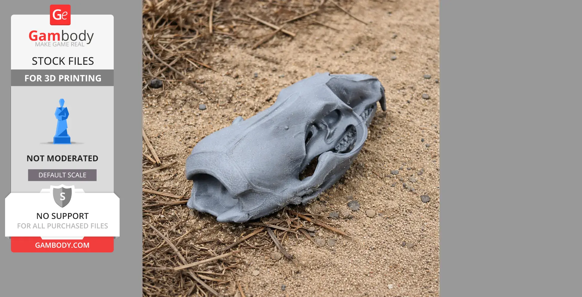 3D printed crabeater seal skull replica resting on sandy ground.