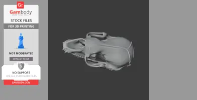 3D model of a crabeater seal skull shown from a top view on a dark background.